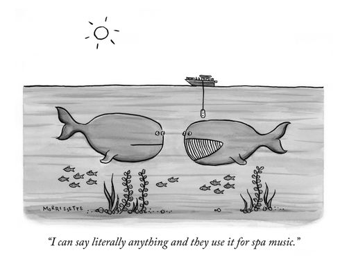 "I can say literally anything and they use it for spa music."
