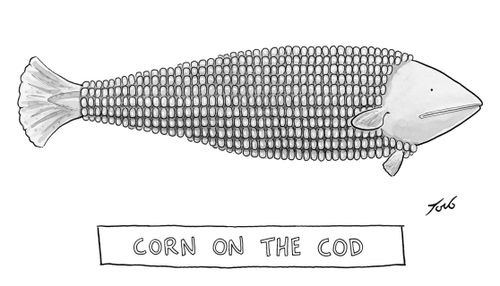 Corn on the Cod