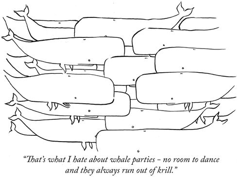 "That's what I hate about whale parties – no room to dance and they always run out of krill."