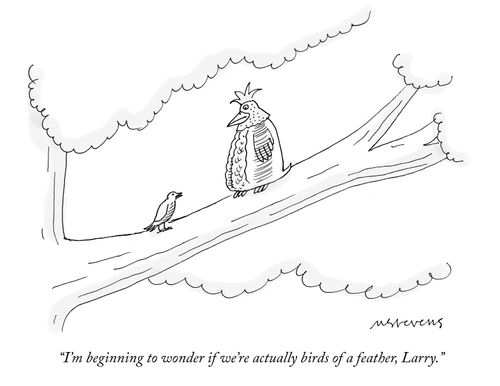 "I'm beginning to wonder if we're actually birds of a feather, Larry."