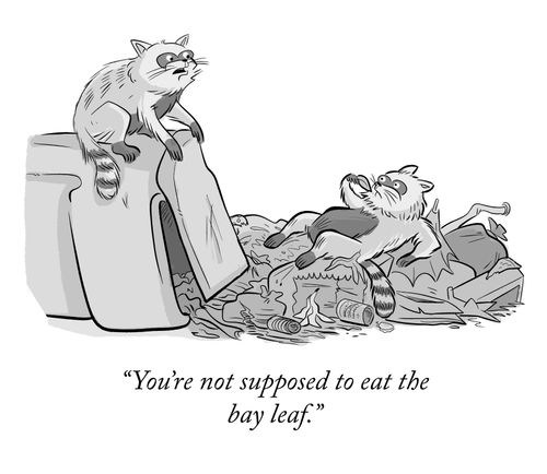 "You're not supposed to eat the bay leaf."