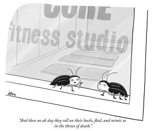 "And then on ab day they roll on their backs, flail, and mimic us in the throes of death."