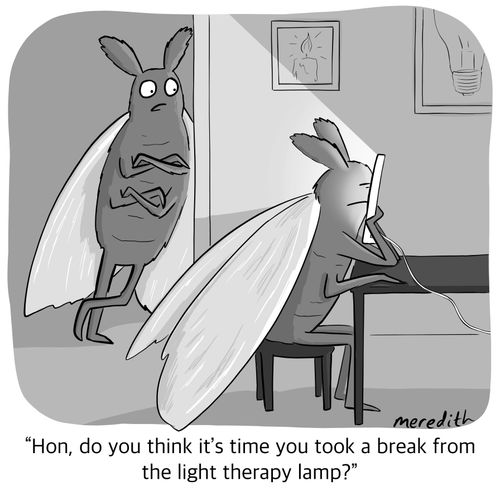 "Hon, do you think it's time you took a break from the light therapy lamp?"