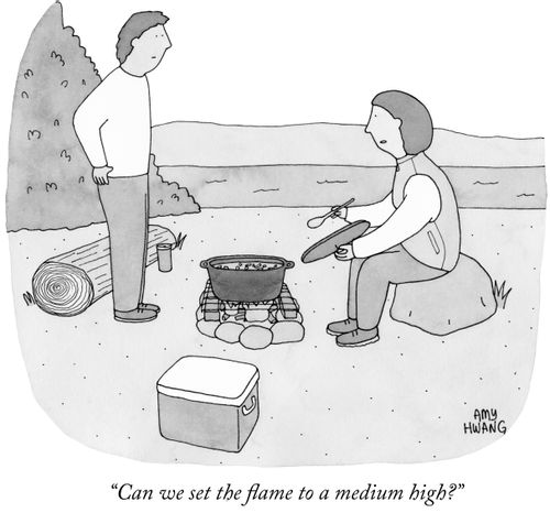 "Can we set the flame to a medium high?"