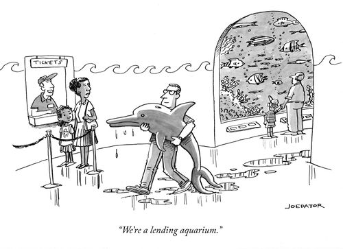 "We’re a lending aquarium."