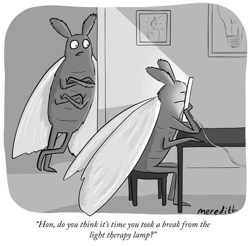"Hon, do you think it's time you took a break from the light therapy lamp?"