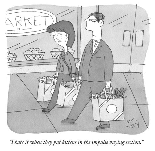 "I hate it when they put kittens in the impulse buying section."