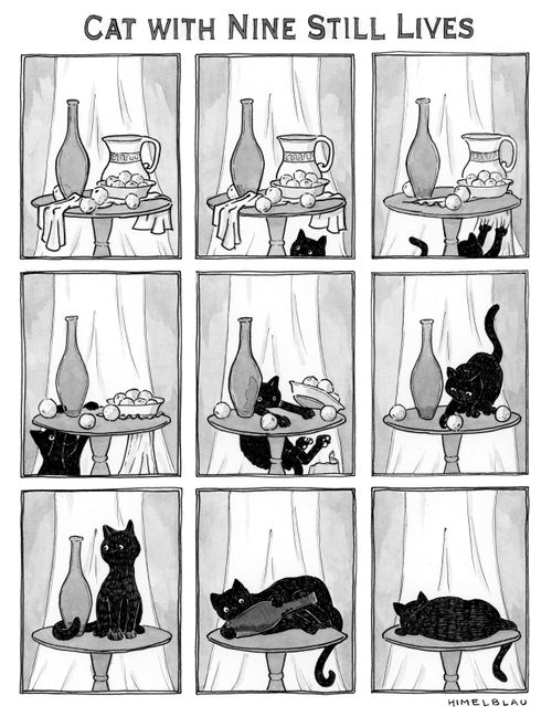 Cat with Nine Still Lives