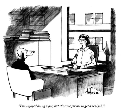 "I've enjoyed being a pet, but it's time for me to get a real job."