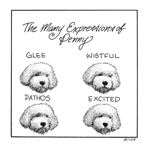The Many Expressions of Penny