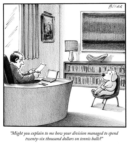 "Might you explain to me how your division managed to spend twenty-six thousand dollars on tennis balls?"