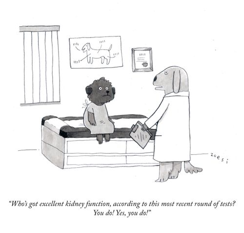 "Who's got excellent kidney function, according to this most recent round of tests? You do! Yes, you do!"