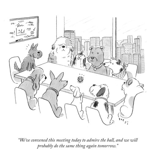 "We've convened this meeting today to admire the ball, and we will probably do the same thing again tomorrow."