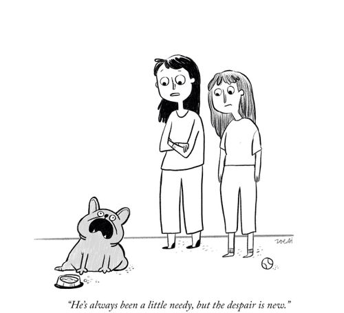 "He's always been a little needy, but the despair is new."
