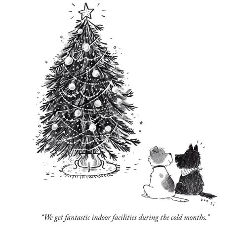 "We get fantastic indoor facilities during the cold months."