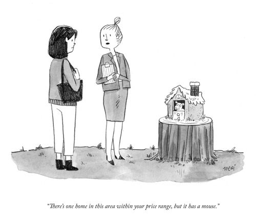 "There's one home in this area within your price range, but it has a mouse."