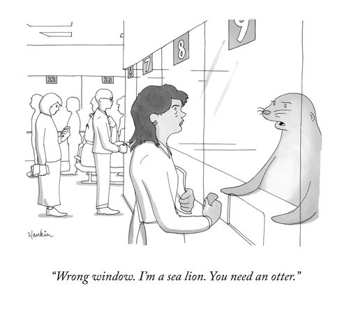 "Wrong window. I’m a sea lion. You need an otter."
