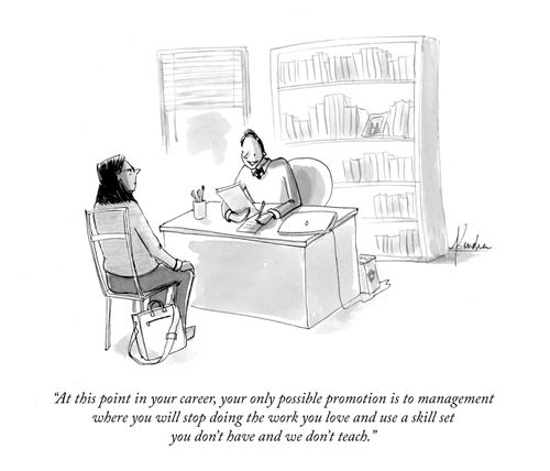 "At this point in your career, your only possible promotion is to management where you will stop doing the work you love and use a skill set you don't have and we don't teach."
