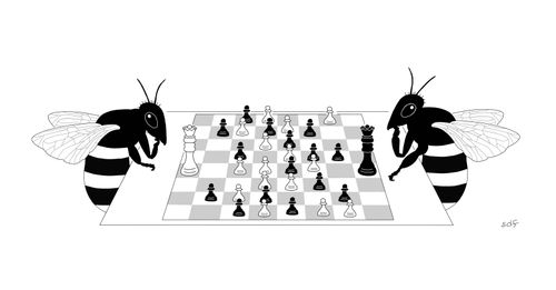 Bee Chess