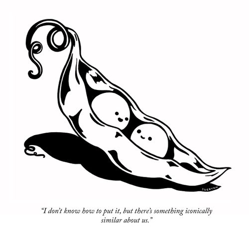 "I don't know how to put it, but there's something iconically similar about us."