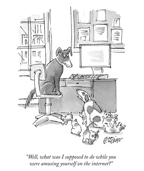 "Well, what was I supposed to do while you were amusing yourself on the internet?"