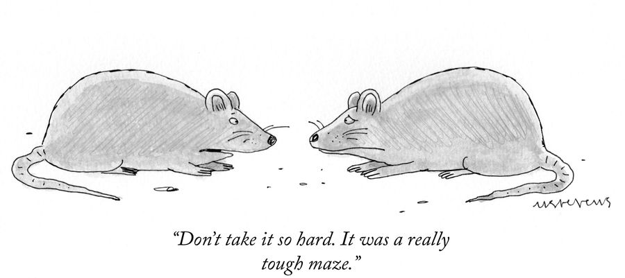 "Don't take it so hard. It was a really tough maze."