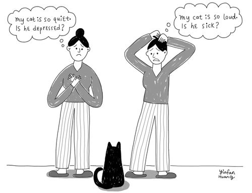 "My cat is so quiet. Is he depressed?" "My cat is so loud. Is he sick?"
