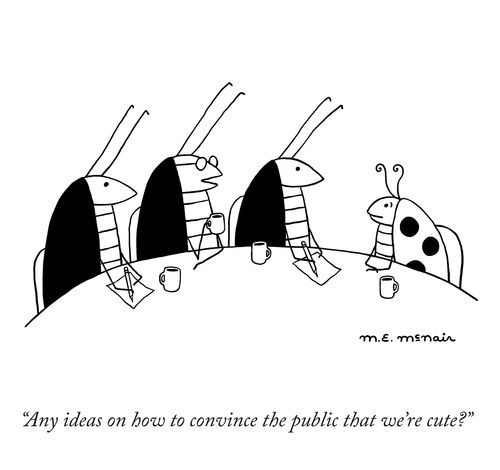 "Any ideas on how to convince the public that we're cute?"