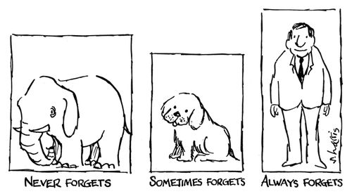Animal and Human Memory