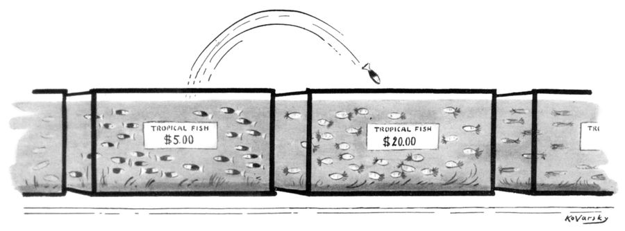 A fish jumping from a tank that reads "Tropical fish $5.00" into a tank that reads "Tropical fish $20.00"