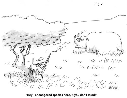 "Hey! Endangered species here, if you don't mind!"