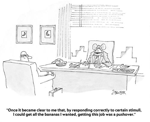"It became clear to me that by responding correctly to certain stimuli, getting this job was a pushover."