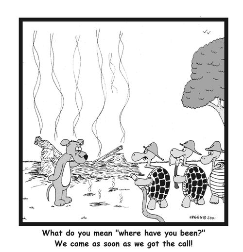Tortoise fire department.