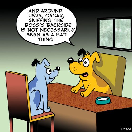 'And around here, Oscar, sniffing the boss's backside is not necessarily seen as a bad thing.'