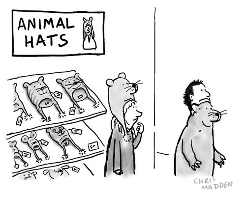 Animal Hats.