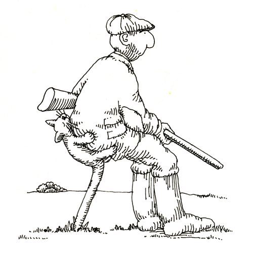 101 uses of a dead cat: stool