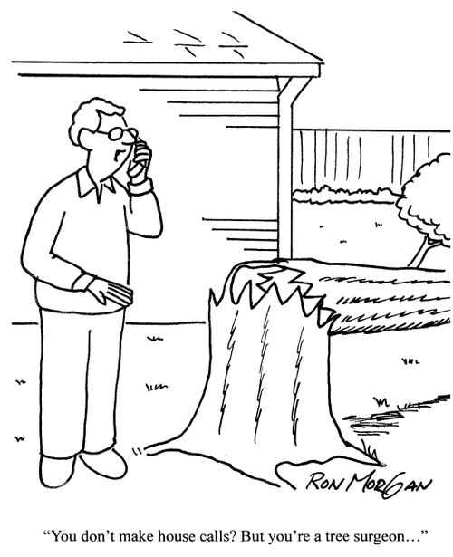 'You don't make house calls? But you're a tree surgeon...'