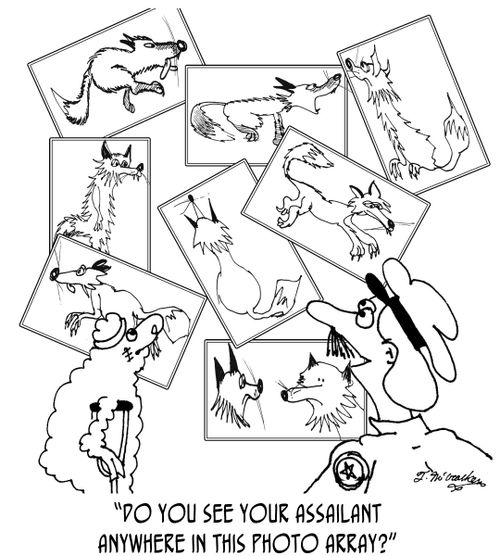 'Do you see your assailant anywhere in this photo array?'