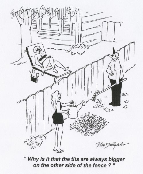 'Why is it that the tits are always bigger on the other side of the fence?'