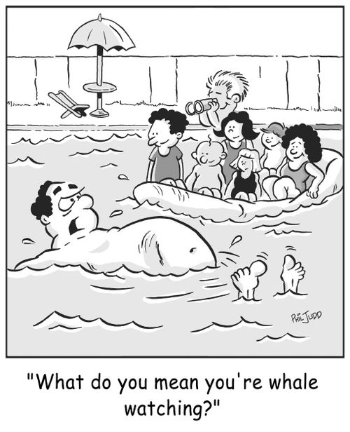 "What do you mean you're whale watching?"
