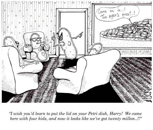 'I wish you'd learn to put the lid on your petri dish, Harry! We came hear with four kids, and now it looks like we've got 20 million!'
