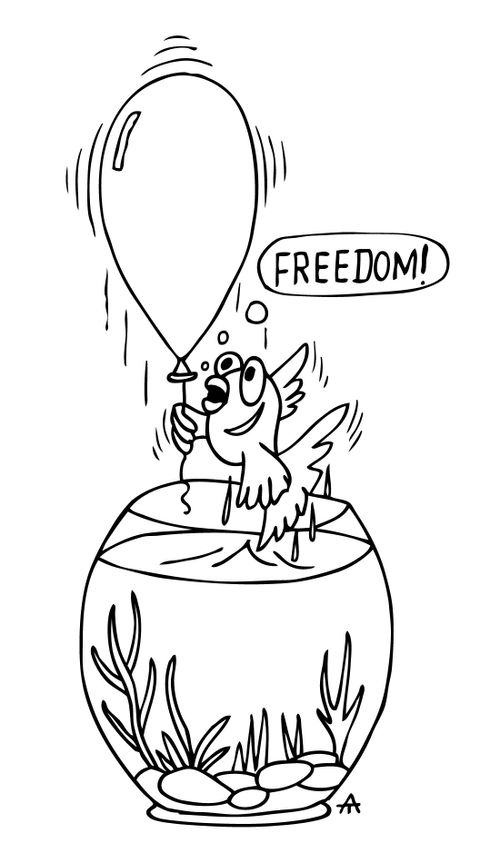 'Freedom!'