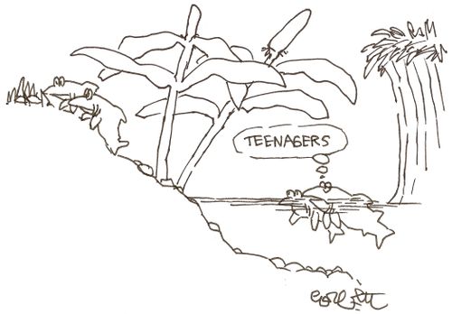 'Teenagers'