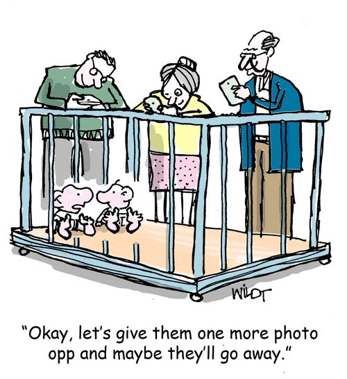 "Okay, let's give them one more photo opp and maybe they'll go away."