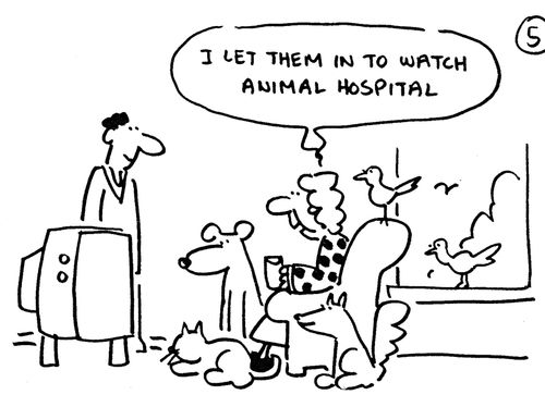 'I let them in to watch animal hospital.'
