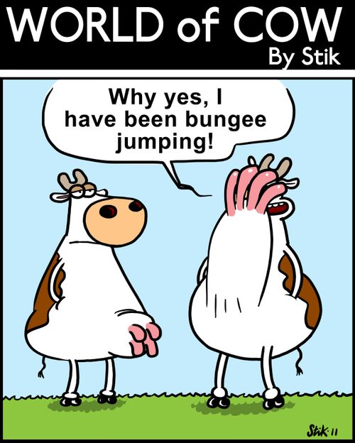 'Why yes, I have been bungee jumping!'