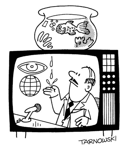 Goldfish bowl leaking into the TV screen.