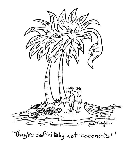'They're definitely not coconuts!'