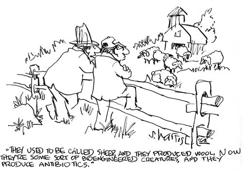 'They used to be called sheep, and they produced wool.  Now they're some sort of bioengineered creatures, and they produce antibiotics.' 