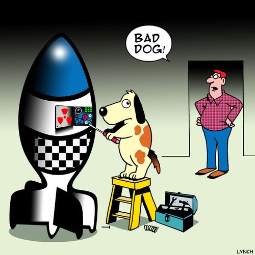Bad dog!